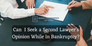 Second Lawyer’s Opinion