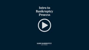 Intro to Bankruptcy Process